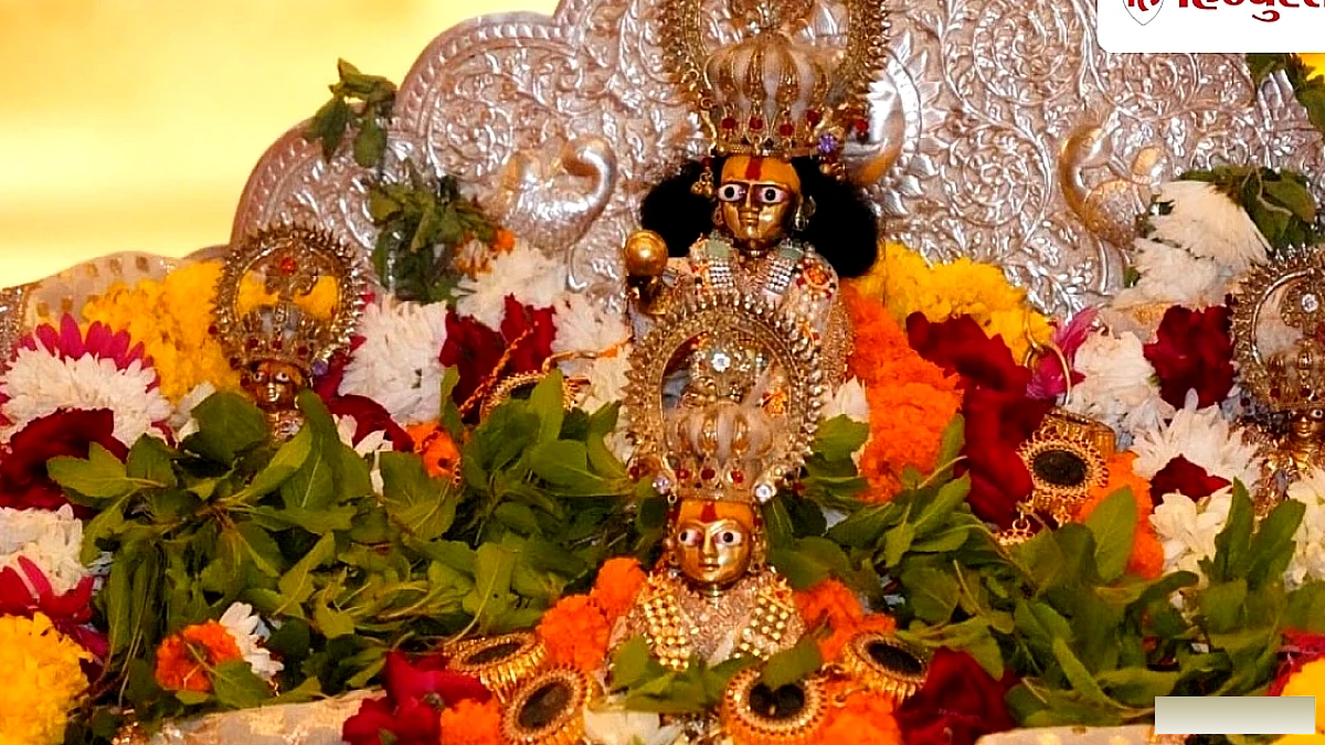 भाइयों संग झूला झूले रामलला; लक्ष्मण के शेषावतार की पूजा, नागपंचमी पर अयोध्या में उमड़े श्रद्धालु