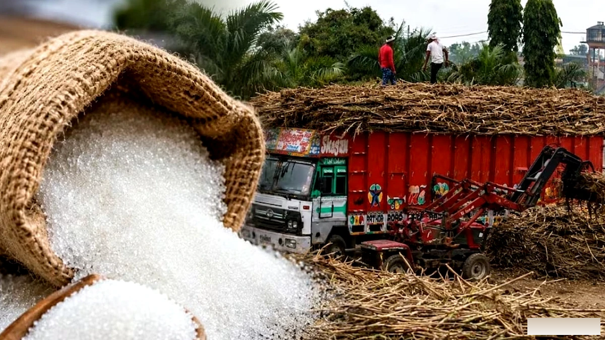 इथेनॉल नहीं... ये बड़े कारण, जिनसे देश में महंगी हो रही चीनी