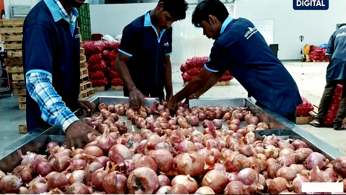 चीनी के बाद अब प्याज ने रुलाया! 30 से 75 रुपये प्रति किलो तक कैसे पहुंचा?